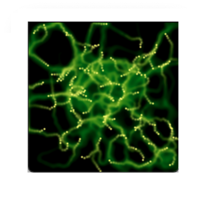 Slime mold pathfinding simulation